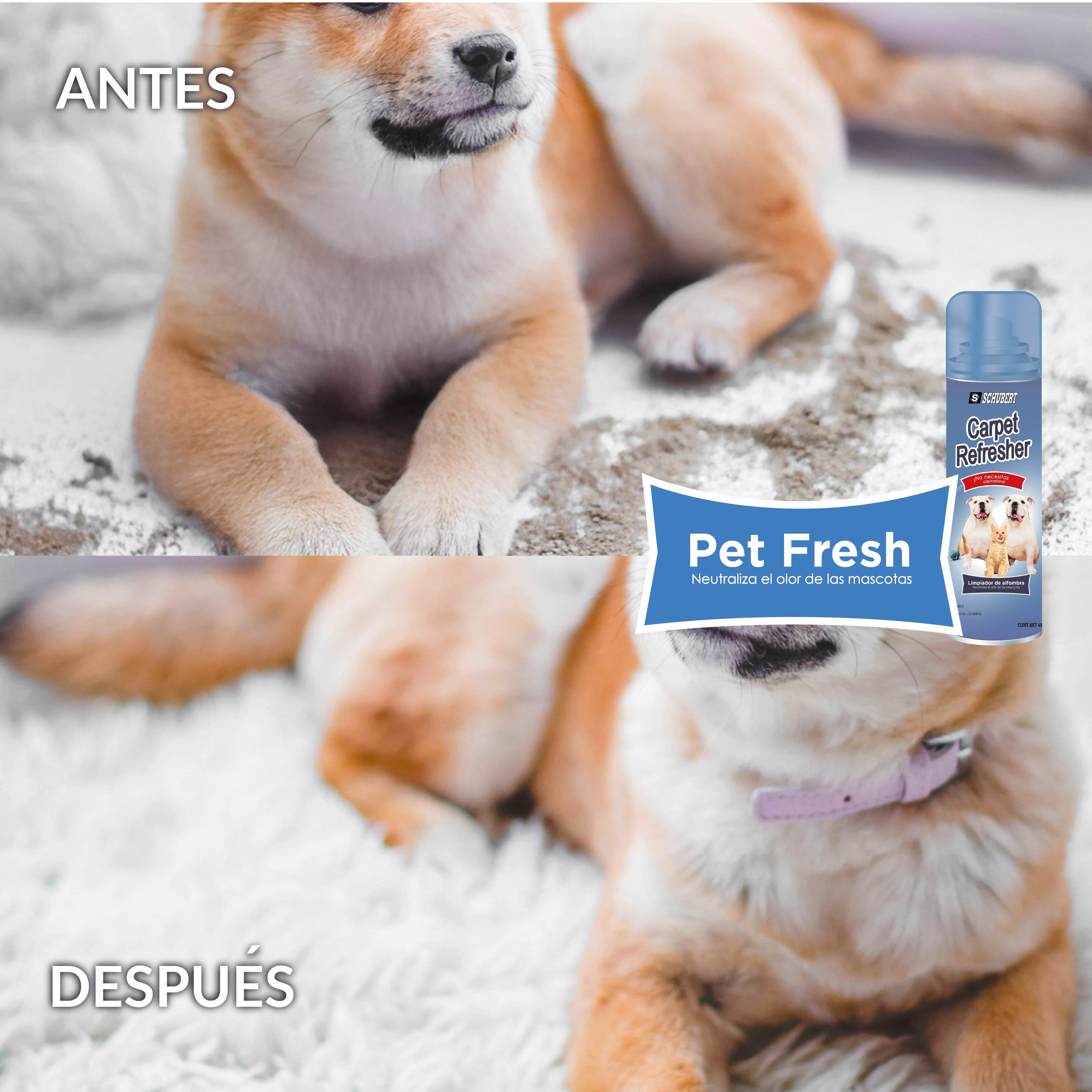 Carpet Refresher